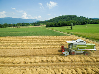 Wheat harvest - aerial photography of combine harvesting grain - agriculture