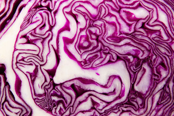 the red cabbage in a section. background.