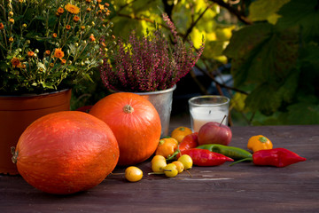 Autumn concept . Pumpkins with colorful vegetables on wooden background. Space for your text.