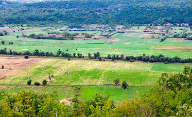 Fototapeta premium Viele Siloballen auf einem Feld