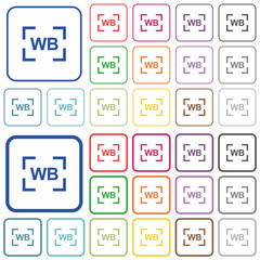 Camera white balance setting outlined flat color icons