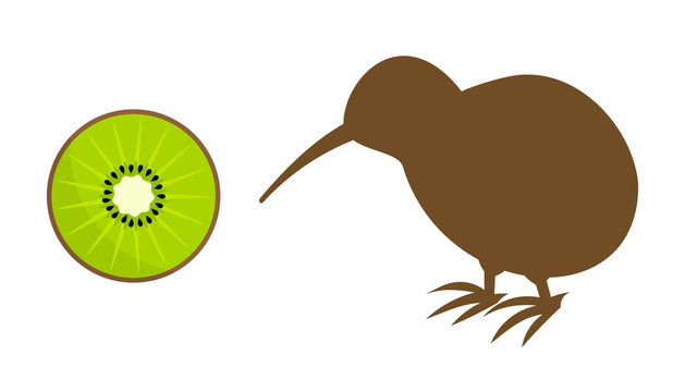 Kiwi fruit and kiwi bird icons