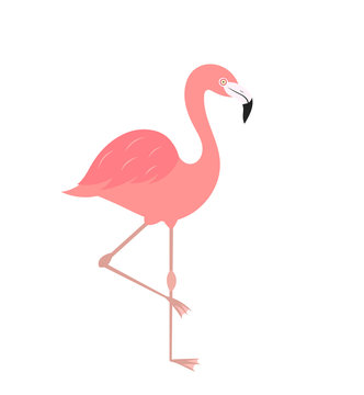 Flamingo bird isolated on white icon