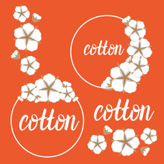 Set Cotton flower frame. Flat style orange colorful background. Vector illustration.