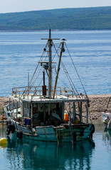 Eine Seemöwe sitzt auf einem Mast vom Segelschiff