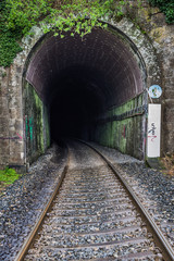 Fototapeta na wymiar Tunel via del tren en Betanzos