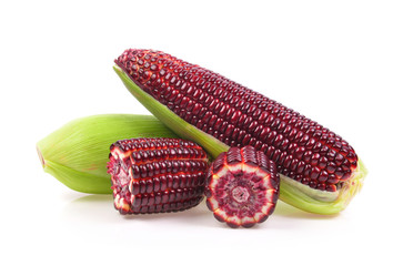 Fresh purple corn isolated on white background