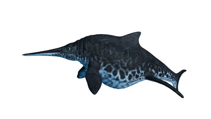 3d rendered illustration of a Shonisaurus