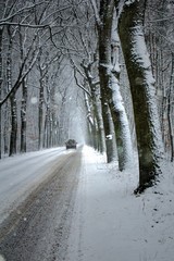 gołoledź i ślizgawica, pogoda zimowa, trudne warunki, drogowe, zaspy na drodze, śnieżyca na drodze i niebezpieczne drzewa - obrazy, fototapety, plakaty