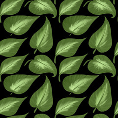 Seamless pattern of big leaves of hostas on a black background. Digital illustration.