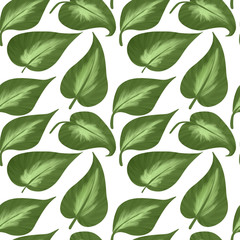 Seamless pattern of big leaves of hostas on a white background. Digital illustration.