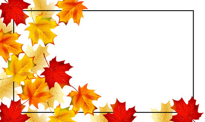 楓の葉っぱのフレーム ベクター