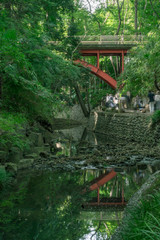 東京　夏の等々力渓谷の風景４
