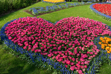 Netherlands,Lisse, HIGH ANGLE VIEW OF MULTI COLORED TULIPS IN PARK