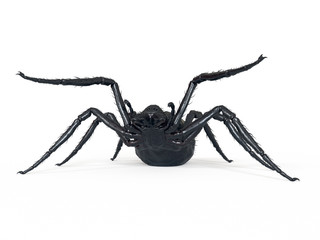 3d rendered illustration of a giant spider