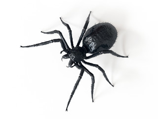 3d rendered illustration of a giant spider