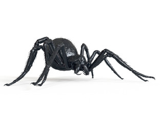 3d rendered illustration of a giant spider