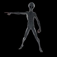 3d rendered illustration of a humanoid alien