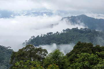 Viewpoint in panerntung,phetburi.