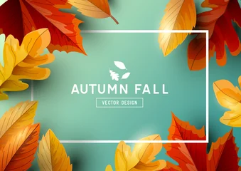 Poster Autumn Seasonal Frame Background Top View © James Thew