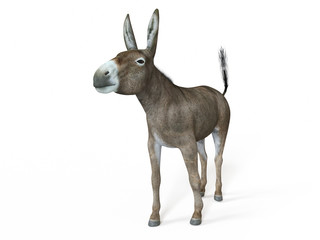 3d rendered illustration of a donkey
