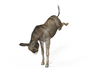 3d rendered illustration of a donkey