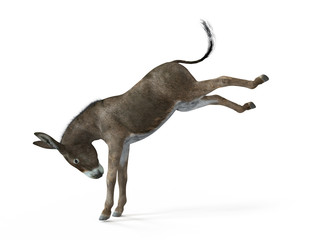 3d rendered illustration of a donkey