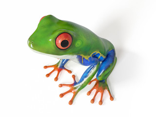 3d rendered illustration of a tropical frog