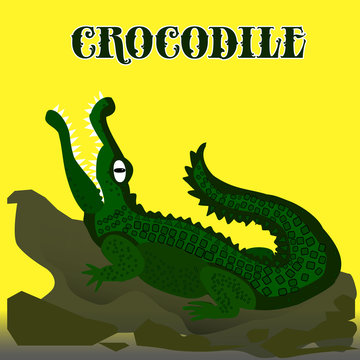 Dark green crocodile with open mouth looking up, cartoon on yellow background,