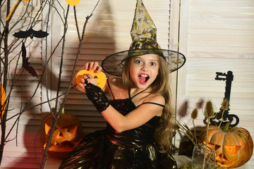 Kid in witch hat and costume holds jack o lantern
