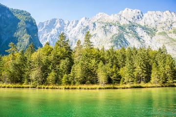 View of the forest at the edge of Koenigssee lake with the Bavarian alps in  the background