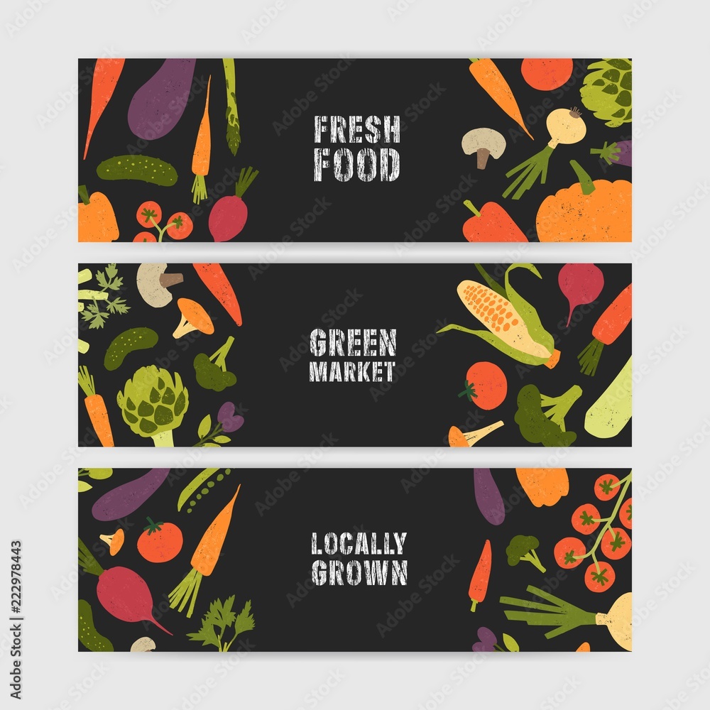 Poster bundle of horizontal web banner templates with tasty locally grown vegetables and place for text on 