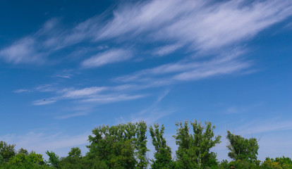 Beautiful cirrus cloud