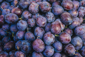 Topview background from organic Plums or damson