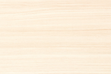 Texture of wood background