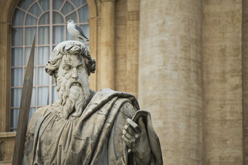 gabbiano su scultura in piazza san pietro