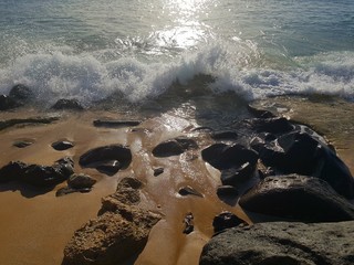 Sea Shore Spray