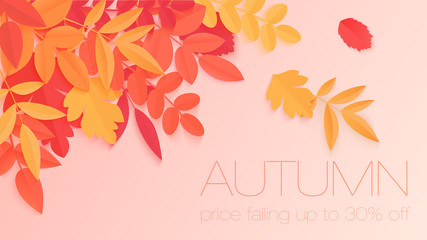 Trendy autumn sale banner with paper style bright color autumn leaves for poster design, flyer and label.