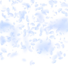 Light blue flower petals falling down. Mesmeric romantic flowers gradient. Flying petal on white squ