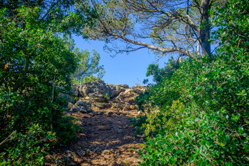 Fototapeta na wymiar Provence, France, June 2018, path on the Regagnas mountain