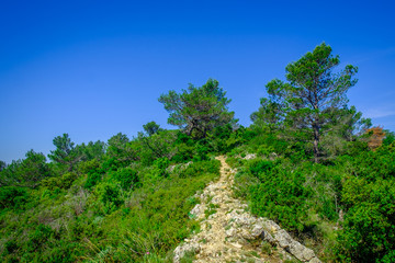 Fototapeta na wymiar Provence, France, June 2018, path on the Regagnas mountain