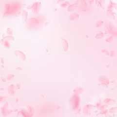 Sakura petals falling down. Romantic pink flowers vignette. Flying petals on pink square background.