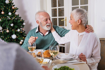 Family gathered over Christmas holidays, celebrating, having lunch 