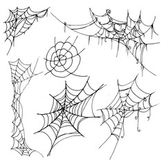 Spiderweb vector illustration