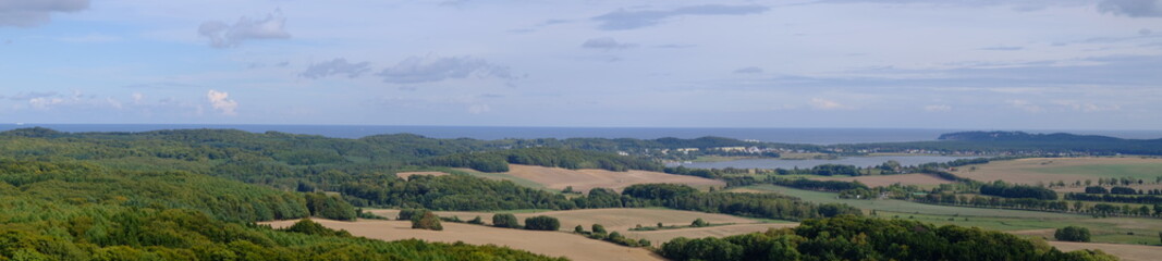 panorama meadow