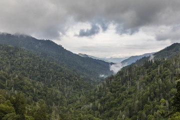 Fototapeta na wymiar Smoky Mountains Scenic Landscape 