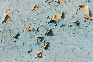 texture of old peeling blue plaster