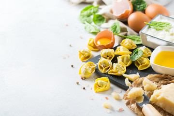 Italian food and ingredients, handmade tortellini with spinach and ricotta