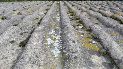 Weathered Roof Tiles