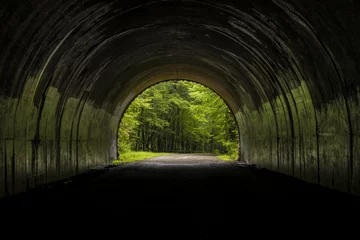 Lichtdoorlatende rolgordijnen Tunnel Binnen in een tunnel naar buiten kijkend